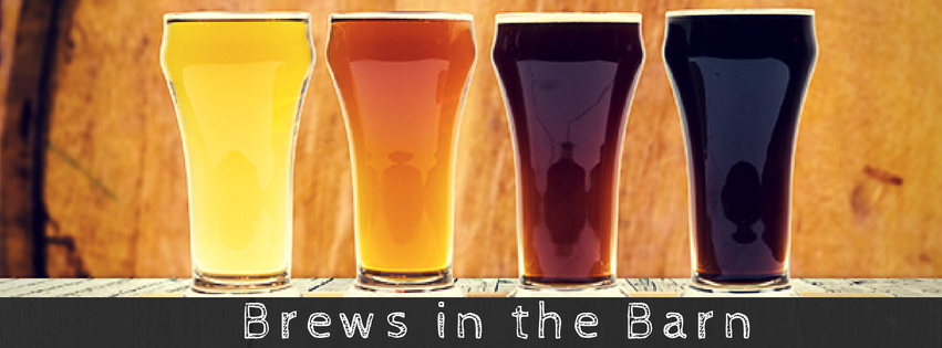Sons to Pour at Brews in the Barn